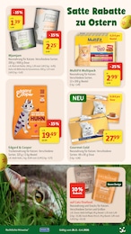 Fressnapf Gourmet im Prospekt 