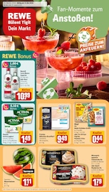 REWE Discounter Prospekt der aktuellen Woche mit 18 Seiten, gültig von 15.06.2026 bis 20.06.2026, in Offenbach und Umgebung Aktueller REWE Discounter Prospekt in Offenbach und Umgebung, "Dein Markt" mit 18 Seiten, 15.06.2026 - 20.06.2026