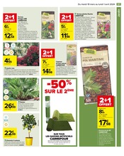 Fleurs Artificielles Angebote im Prospekt "Carrefour" von Carrefour auf Seite 59