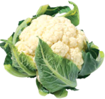 Blumenkohl für 1,39 € bei Netto mit dem Scottie im Angebot Blumenkohl im aktuellen Netto mit dem Scottie Prospekt