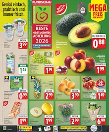 Ananas im aktuellen EDEKA Prospekt (Berlin) Ananas im EDEKA Prospekt "Aktuelle Angebote" mit 23 Seiten (Berlin)