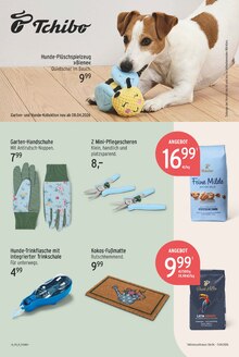 Teppichboden im aktuellen E center Prospekt (Berlin) Teppichboden im E center Prospekt "Aktuelle Angebote" mit 27 Seiten (Berlin)