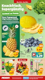 Ananas Angebot im aktuellen Penny-Markt Prospekt auf Seite 2