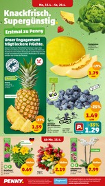 Ananas Angebote im Prospekt "Wer günstig will, muss Penny." von Penny-Markt auf Seite 2
