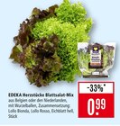 Herzstücke Blattsalat-Mix Angebote von EDEKA bei Marktkauf Heilbronn für 0,99 €