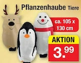 Aktuelle Blumentopf Angebote bei Zimmermann in Hildesheim Aktuelles Pflanzenhaube Tiere Angebot bei Zimmermann in Hildesheim ab 3,99 €