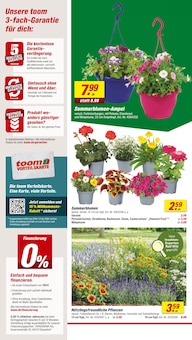 Aktueller toom Baumarkt Prospekt