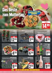 Ähnliche Angebote wie Alpenveilchen im Prospekt "Wir lieben Lebensmittel!" auf Seite 20 von E center in Würzburg