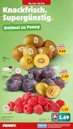 Pflaumen Angebot im aktuellen Penny Prospekt auf Seite 2