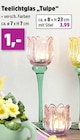 Teelichtglas Tulpe Angebote bei Thomas Philipps Saarlouis für 1,00 €