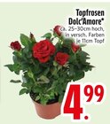 Topfrosen von Dolc’Amore im aktuellen EDEKA Prospekt