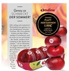 Aktuelle Nektarinen Angebote bei E center in Düsseldorf Aktuelles Spanien Platt-Nektarinen Angebot bei E center in Düsseldorf ab 1,99 €