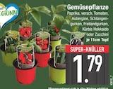 Gemüsepflanze im EDEKA Prospekt Gemüsepflanze von im aktuellen EDEKA Prospekt für 1,79 €