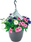 Netto mit dem Scottie Gägelow - XXL Blumenampeln Angebot im Prospekt XXL Blumenampeln bei Netto mit dem Scottie im Gägelow Prospekt für 10,99 €