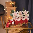 Orchidée 6 fleurons train - CARREFOUR - Carrefour à Antibes Orchidée 6 fleurons train - CARREFOUR en promo chez Carrefour Antibes à 19,99 €