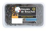Moules de bouchot stg à Bi1 dans Cortrat