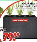 XXL-Rattan Blumenkübel Angebote bei Wreesmann Görlitz für 79,99 €
