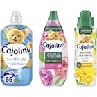 SUR TOUT - CAJOLINE en promo chez Carrefour Market SUR TOUT - CAJOLINE dans le catalogue Carrefour Market