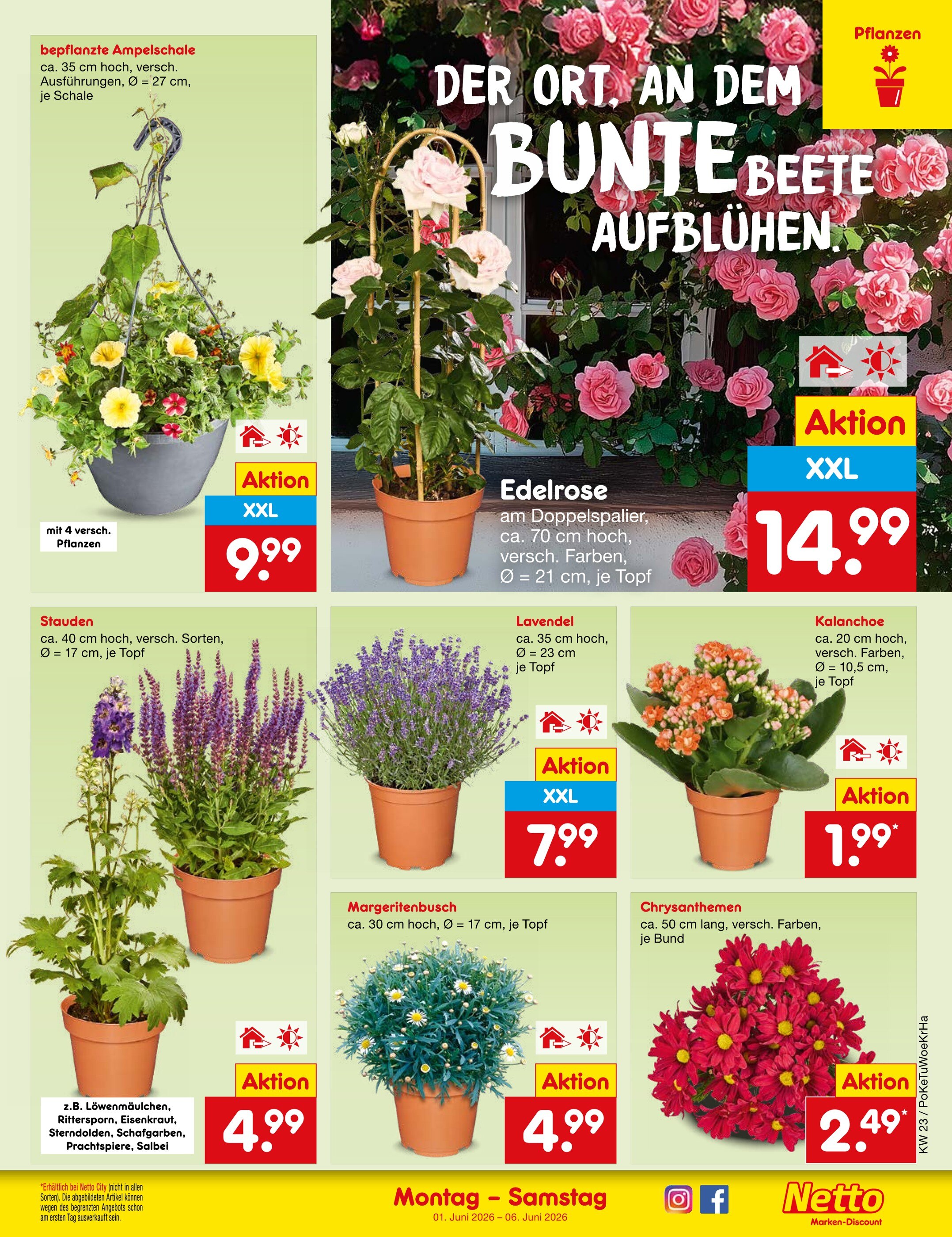 knstlicher efeu kaufen Knstlicher Hnge-Efeu - Markus | 55 cm