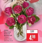 Marktkauf Filderstadt Prospekt mit  im Angebot für 4,99 €