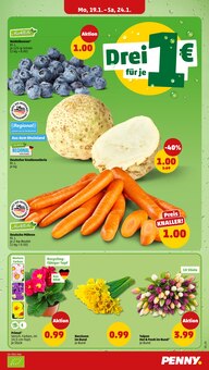 Gemüse im Penny Prospekt "Wer günstig will, muss Penny." mit 40 Seiten (Würzburg)