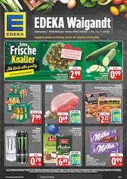 EDEKA Prospekt mit 30 Seiten (Großlangheim)