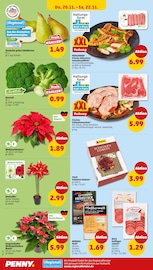Aktueller Penny Prospekt mit Fleisch, "Wer günstig will, muss Penny.", Seite 38