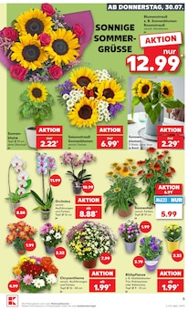 Blumen im aktuellen Kaufland Prospekt (Oberhausen) Blumen im Kaufland Prospekt "Hier bin ich richtig" mit 66 Seiten (Oberhausen)