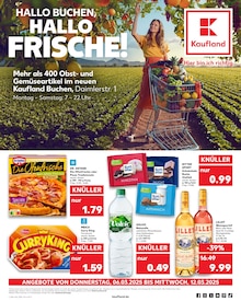 Aktueller Kaufland Buchen Prospekt "Aktuelle Angebote" mit 60 Seiten