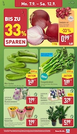 Pflanzen im ALDI Nord Prospekt in Frankfurt Aktueller ALDI Nord Prospekt mit Pflanzen, "Aktuelle Angebote", Seite 3