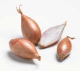 Echalote longor à LaMaison.fr dans Monteils