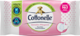 Feuchtes Toilettenpapier von Cottonelle im aktuellen budni Prospekt für 0,89 €