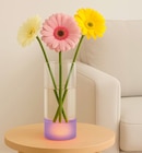Glasvase mit integriertem LED-Sockel Angebote von BestSellers bei REWE Halle für 9,99 €