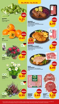 Blumen im Penny Prospekt "Wer günstig will, muss Penny." mit 43 Seiten (Koblenz)