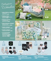 Socken im famila Nordost Prospekt in Neustadt Aktueller famila Nordost Prospekt mit Socken, "Aktuelle Angebote", Seite 4