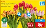 Tulpen im aktuellen Netto Marken-Discount Prospekt für 5,00 €