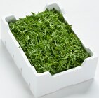 Rucola im Angebot bei METRO in Pforzheim Rucola Angebote bei METRO Pforzheim für 5,33 €