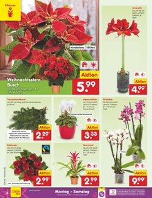 Blumen im aktuellen Netto Marken-Discount Prospekt (Mannheim) Blumen im Netto Marken-Discount Prospekt "Aktuelle Angebote" mit 63 Seiten (Mannheim)