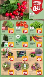 Aktueller REWE Prospekt mit Bio Lebensmittel, "Dein Markt", Seite 7