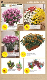 Chrysanthèmes Angebote im Prospekt "TOUT VOTRE MAGASIN CONTRE LA VIE CHÈRE" von Intermarché Hyper Chrysanthèmes Angebote im Prospekt "TOUT VOTRE MAGASIN CONTRE LA VIE CHÈRE" von Intermarché Hyper auf Seite 12
