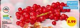 Deutsche Johannisbeeren Angebot in Holzhausen Deutsche Johannisbeeren im aktuellen Prospekt bei Penny in Holzhausen