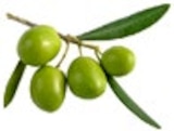 Kaufland - Griech. Olivenöl extra nativ Angebot im Prospekt Griech. Olivenöl extra nativ bei Kaufland im Prospekt "" für 5,99 €