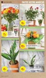 Fleurs Angebote im Prospekt "50% REMBOURSÉS EN BONS D'ACHAT SUR TOUT LE RAYON SURGELÉS SUCRÉS" von Intermarché auf Seite 12