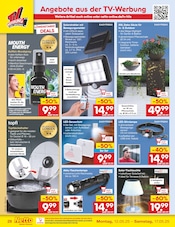 Blumentopf im Netto Marken-Discount Prospekt in Ahlen Aktueller Netto Marken-Discount Prospekt mit Blumentopf, "Aktuelle Angebote", Seite 50