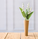 Muguet 3 brins + 1 feuille en promo chez Super U Gap à 2,99 €