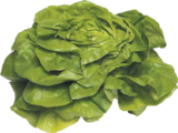 Kopfsalat im V-Markt Prospekt Kopfsalat im aktuellen V-Markt Prospekt für 0,69 €