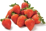 Promo Fraise à 2,63 € dans le catalogue Lidl à Arçonnay
