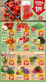 Mandarinen Angebote im Prospekt "Dein Markt" von REWE auf Seite 7
