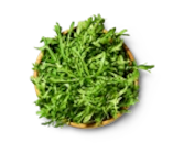 Kaufland Heidelberg - Rucola Angebot im Prospekt Rucola bei Kaufland im Heidelberg Prospekt für 0,79 €