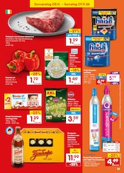 Sodastream im Netto Marken-Discount Prospekt in Coburg Aktueller Netto Marken-Discount Prospekt mit Sodastream, "Aktuelle Angebote", Seite 47
